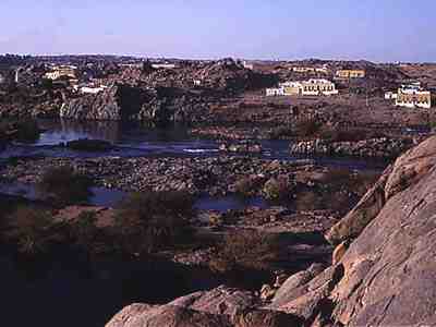 elephantine