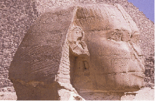 Tte du Sphinx