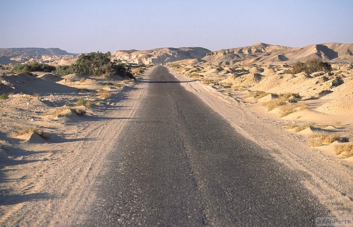 Route et désert Egyptien